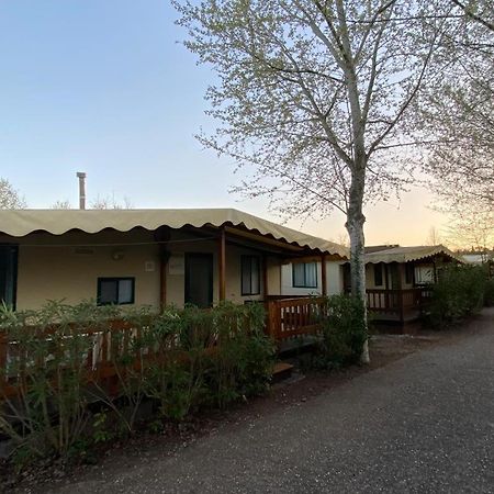Zona Rosa 5 Chalet Mit Klimaanlage Und Wlan Виареджо Экстерьер фото